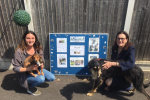 Dog rehoming day 